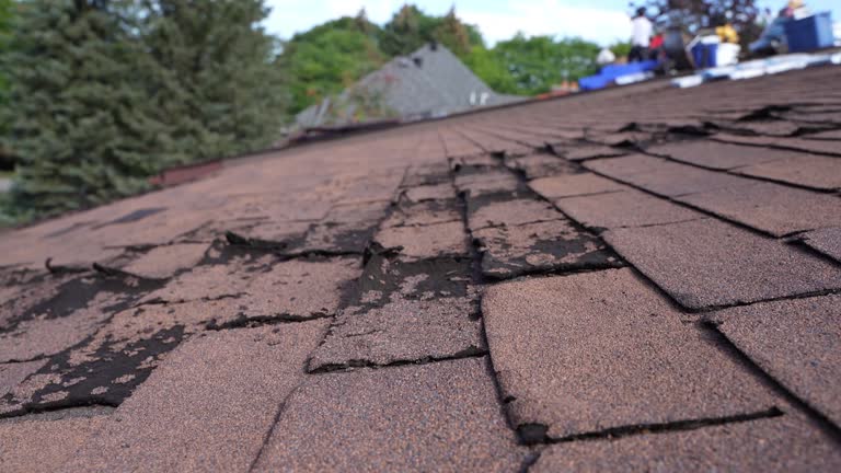 Best Solar Panel Roofing Installation  in White Oak, OH